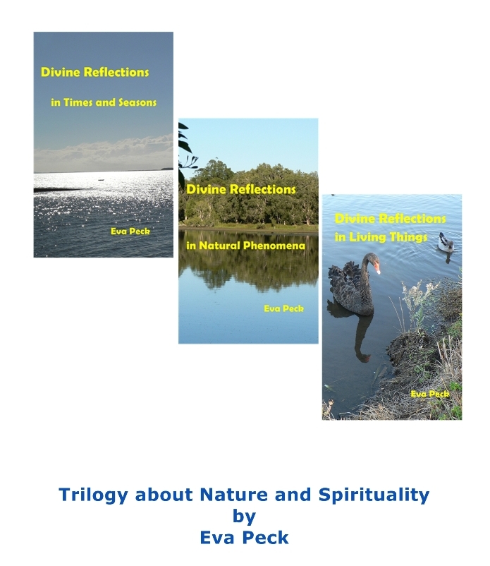Divine Reflections Trilogy