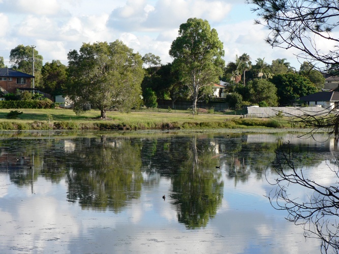 Water reflection