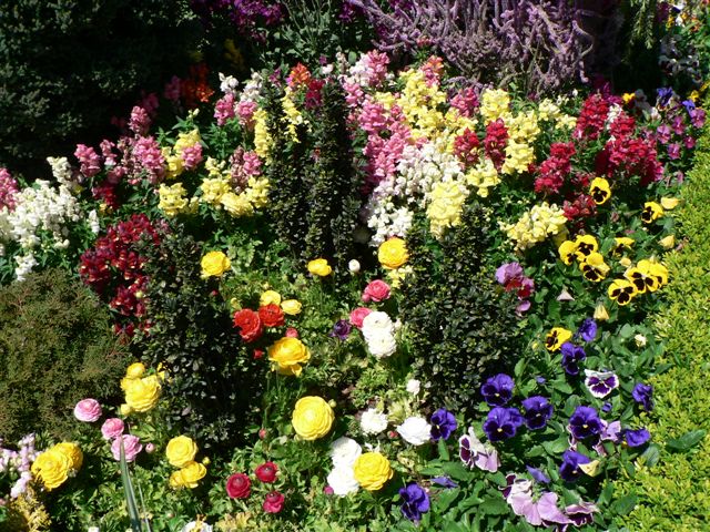 Toowoomba Flower Festival