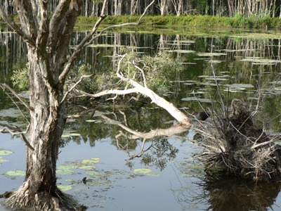 Water reflection in present moment